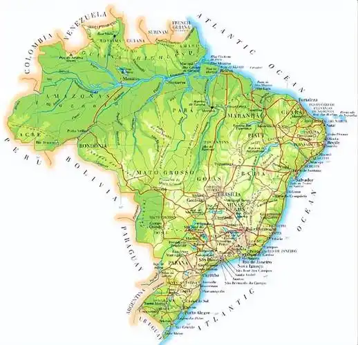 桥:没有把握_世界_河流_热带雨林