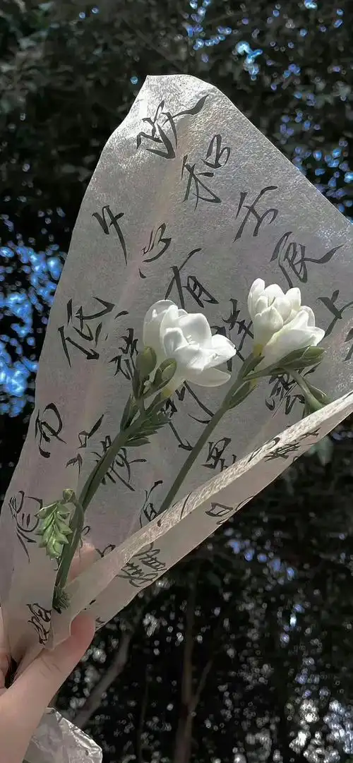 ins风全面屏壁纸分享