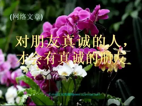 对朋友真诚的人才会有真诚的朋友(兰花摄影).ppt
