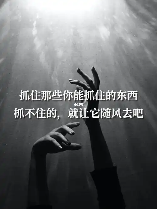 语录抓不住的就让它随风去吧