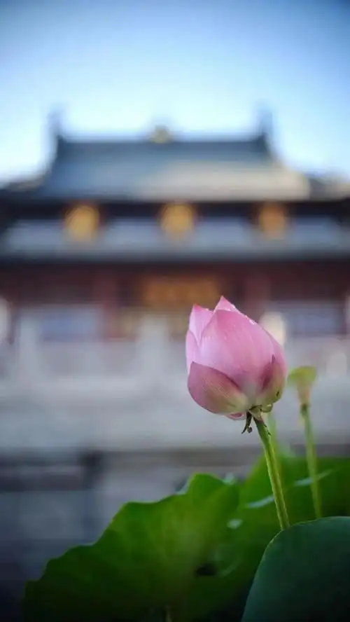 界文法师一佛法的修心之道 (四)修心问答_佛学频道_中华网