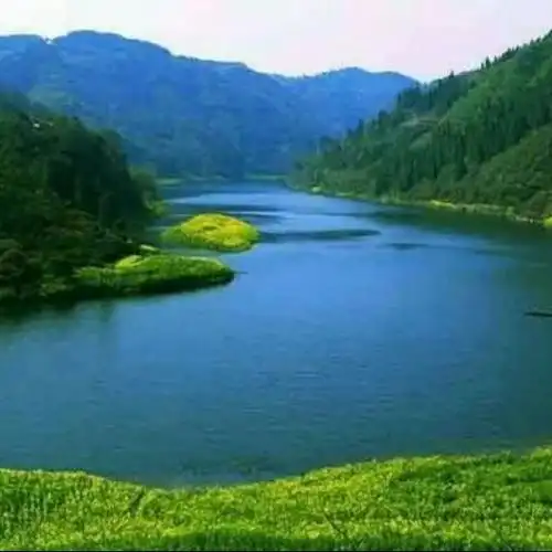 沉默是金【cy名,贵】