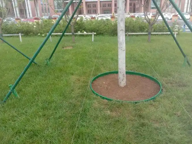 鹅卵石装点树穴 美化降尘提颜值