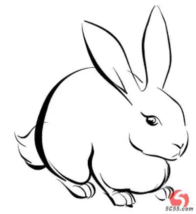 求像素如a3纸大小的兔子图片.