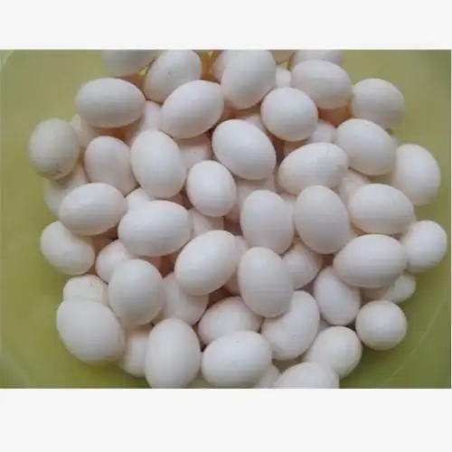 天津哪家养珍珠鸡和鸡蛋质量好的-联兄珍珠鸡养殖场值得信赖