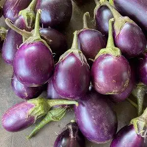 新鲜蔬菜茄子本地老品种紫色椭圆茄子软香绿皮茄子农家自种冬茄子