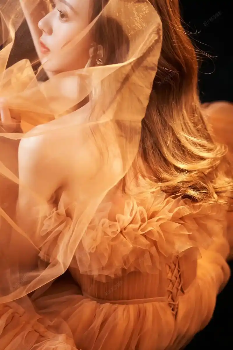 芭莎摄影年终回馈新老客户