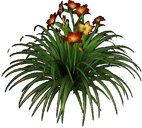 596_536gif 动态图 动图