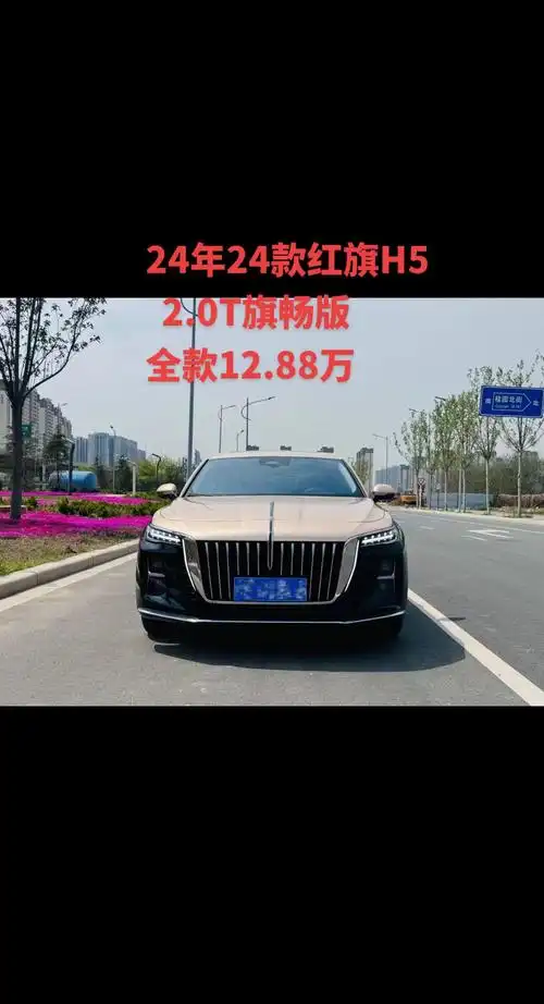 24款红旗h520智联旗畅版有l2辅助