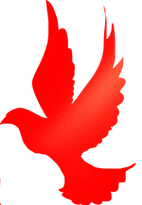 主题活动金茵小学清明祭英烈重走长征路