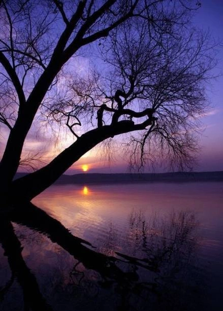 唯美qq风景皮肤大全图片走不到一起的人