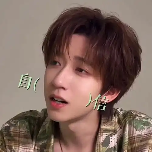 贺峻霖一个人就是一套表情包#贺峻霖咸甜粽子人格分裂