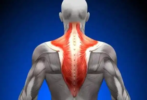 斜方肌会越揉越严重吗