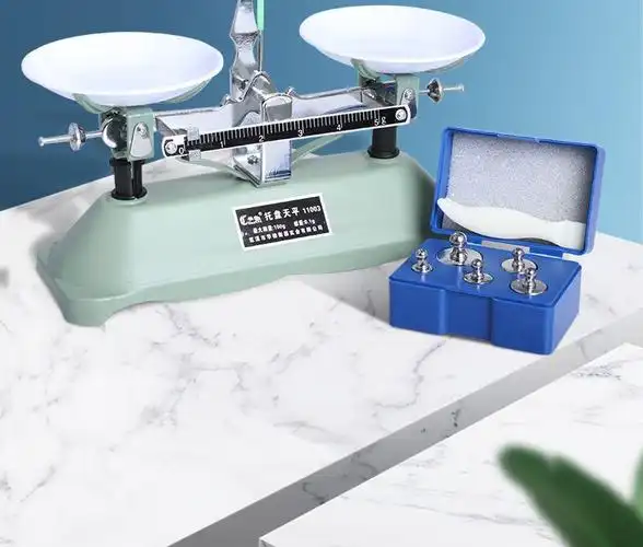 天平秤学生儿童教具 托盘天平秤教具小学生实验物理教学用具一二年级