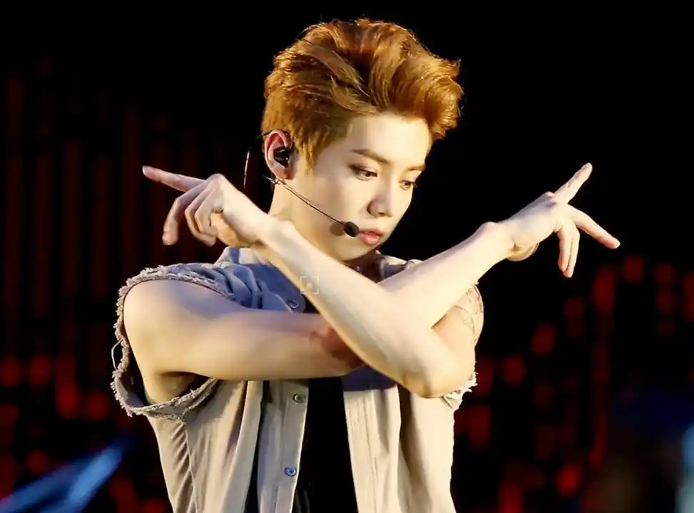 鹿晗的跳舞姿势:图一邪魅,图三撩人,图四最帅,图五看了数遍