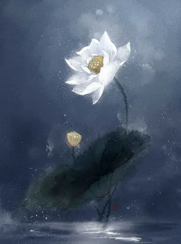 花草,水墨,封面,淡雅,唯美,插画,古风
