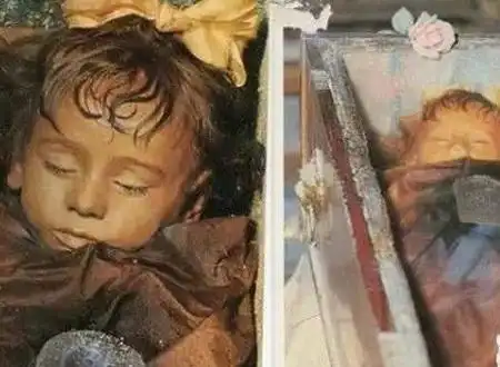 千年古墓女尸如活人眼睫毛都是完好的