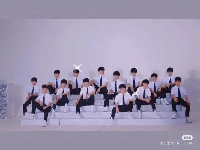 tf家族三代