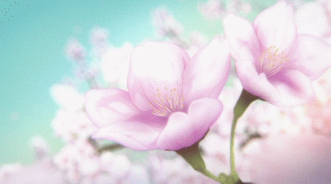 一组唯美的治愈系动态图分享给你,唯美意境动图也是一种情怀