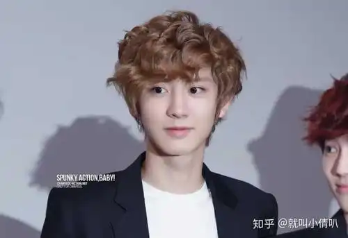 能讲讲朴灿烈吗?什么都行?