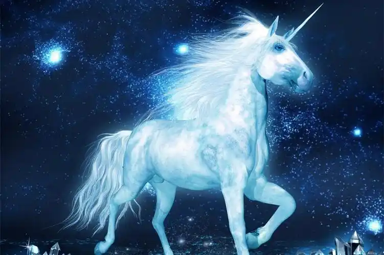 天马星空唯美梦幻壁纸_美丽而神奇的动物