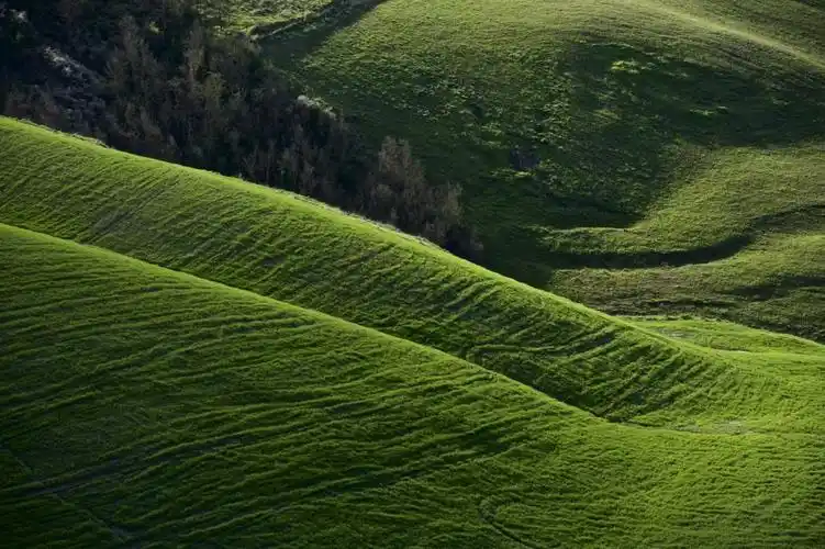 绿草场高清壁纸,高清图片,摄影-纯色壁纸