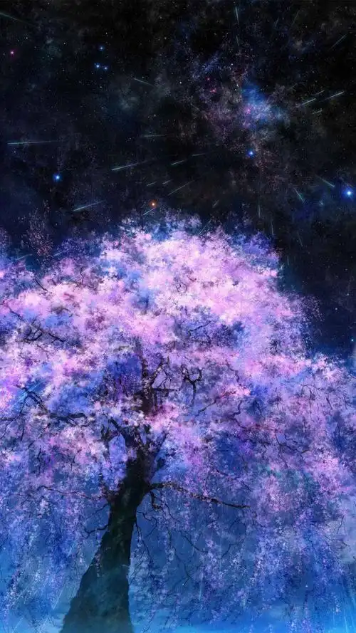 星空樱花二次元治愈唯美梦幻壁纸头像