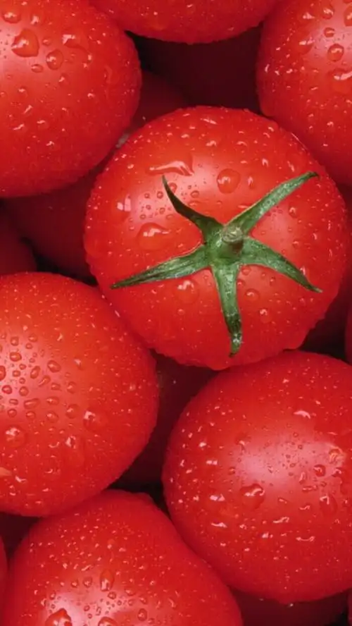 水果- 堆糖,美图壁纸兴趣社区