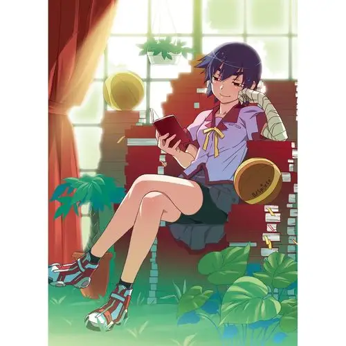 1~6卷 化物语 bd/dvd 封面 原图或清晰无水印的图