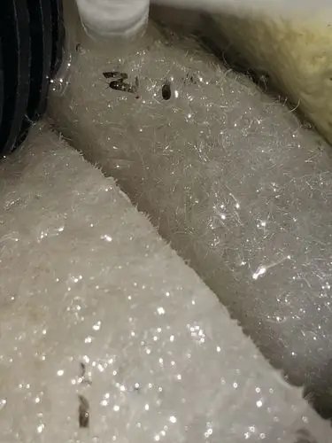 生化棉生虫了. - 罗汉鱼玩家 - 龙巅罗汉鱼