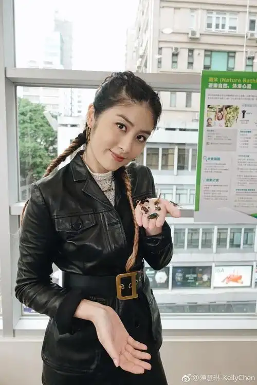 真的希望陈慧琳出本书吧,给大