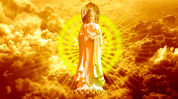 640_356gif 动态图 动图