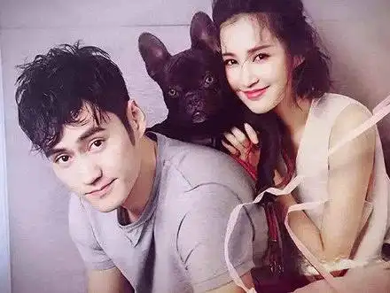 张歆艺宣布怀孕宝宝的b超照片笑翻网友真像啊