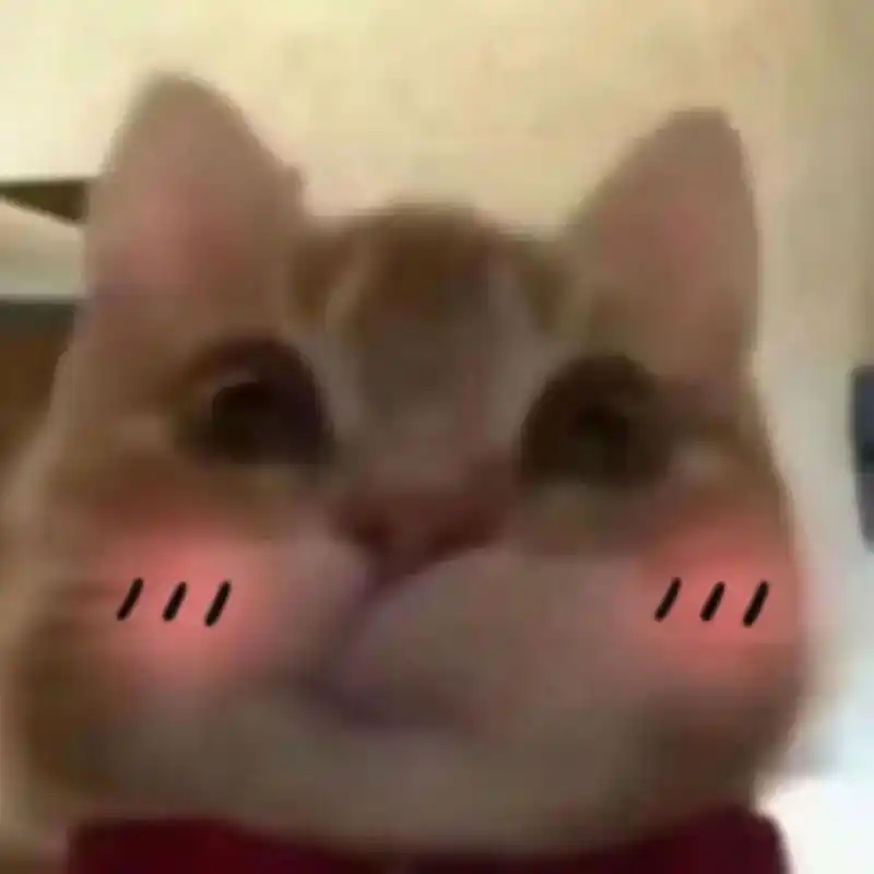 闲暇时收集的表情包之撅嘴小猫表情包 闲暇时收集的撅嘴小猫表情包