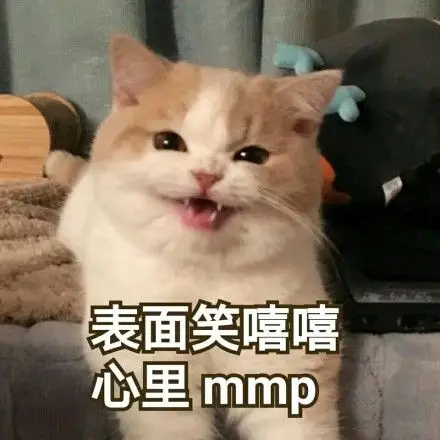 表面笑嘻嘻心里mmp(猫咪)_猫咪_mmp_笑嘻嘻_表面_心里表情