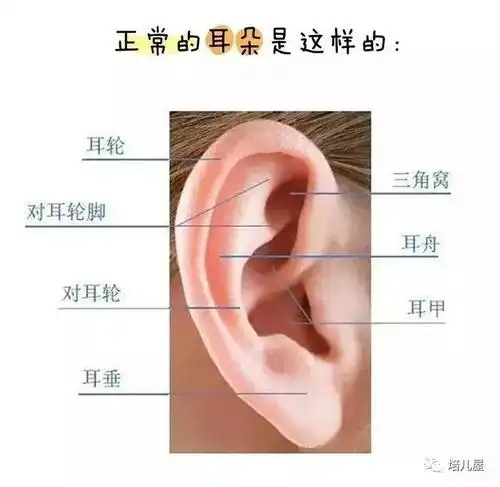 耳朵长得丑,影响到孩子的不仅仅只有容貌!