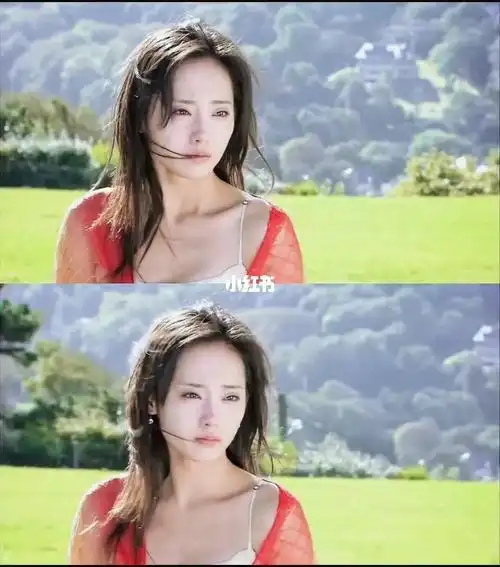 说紫菱是绿茶的真的看懂又见一帘幽梦了吗