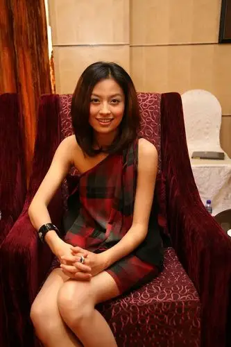 图文华诚传媒在沪亮相女星齐芳