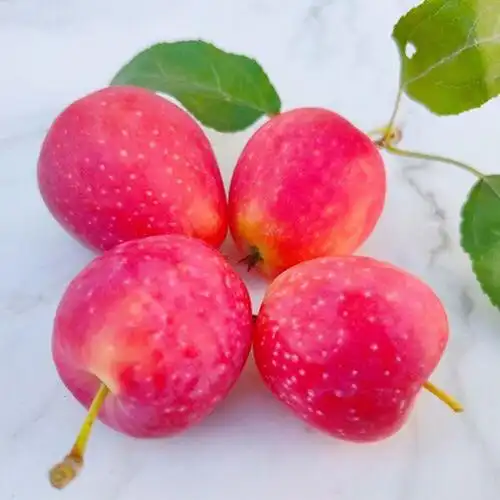 新疆正宗香妃海棠果3斤4斤礼盒盒装当季水果其它