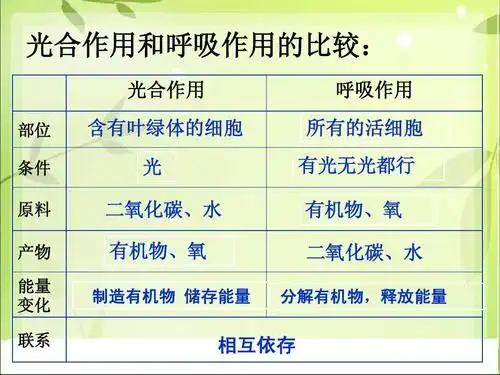 2 绿色植物的呼吸作用ppt 光合作用和呼吸作用的比较: 光合作用 部位