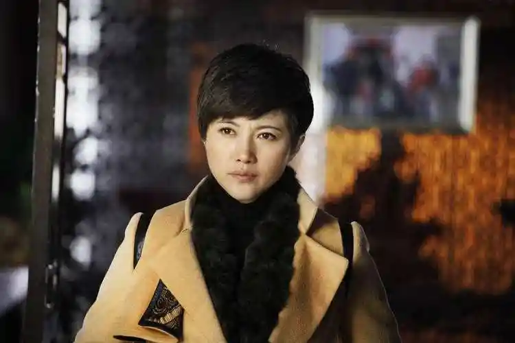 49岁的8金影后颜丙燕:性情刚烈不妥协,为了拍戏甘心当不婚族?