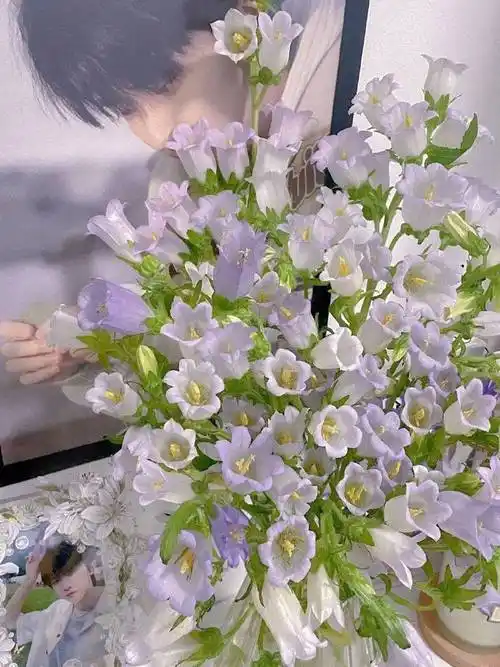 "嘉祺你看,风铃花开"  #马嘉祺 520大测试#  #时代少年团520营业