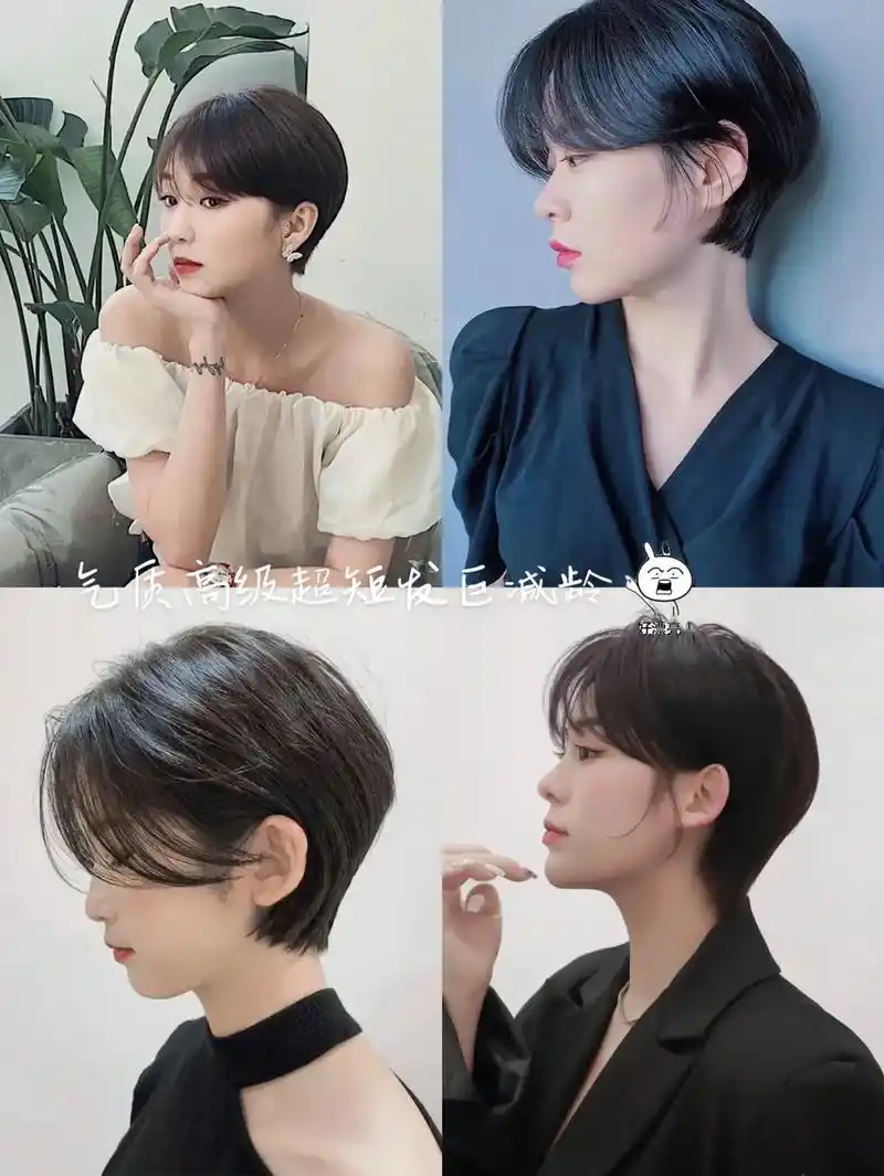 气质高级超短发巨减龄