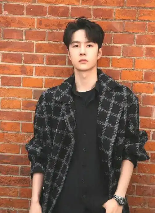 有网友说肖战代言的品牌海报用的是王一博的剪影