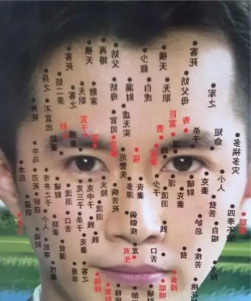 痣的位置与命运图解,肩膀上有痣的位置与命运图解图4