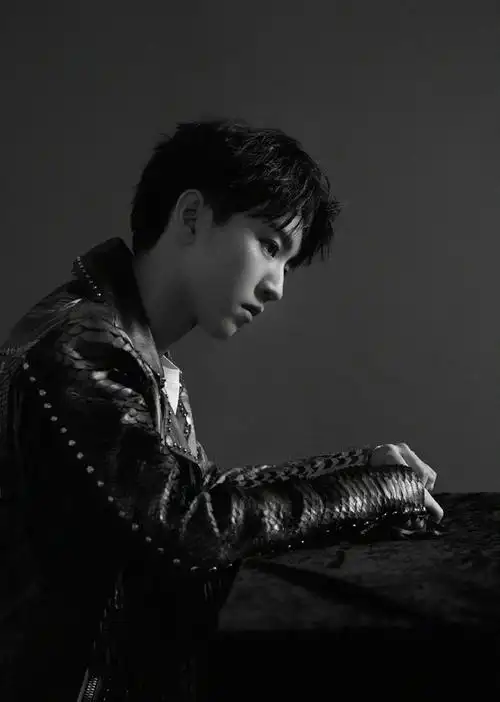 简介:王俊凯酷帅养眼写真图片,分享一组王俊凯图片给大家,图中的明星