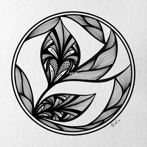 线描  #创意线描  #黑白线描  #创意美术  #procreate绘画  #树叶