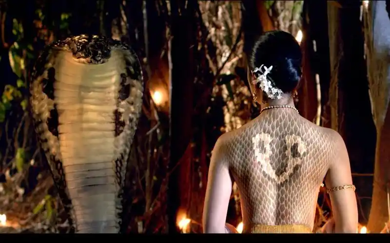 美女蛇_哔哩哔哩_bilibili