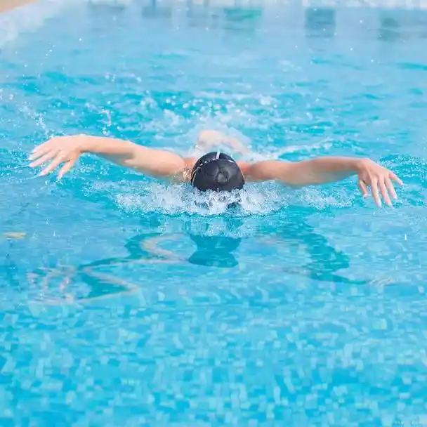 蝶泳:飞翔于水面的美