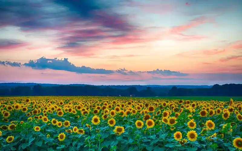 梦幻唯美自然风景,高清图片,电脑桌面-壁纸族